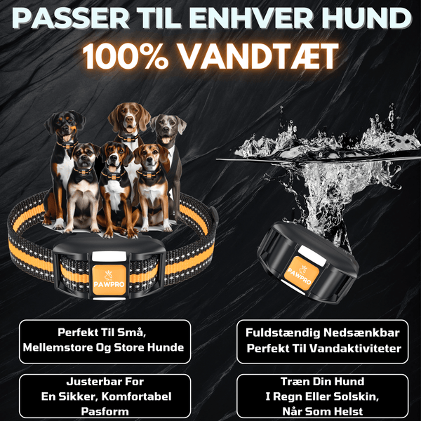 PAWPRO Ultimate Træningshalsbånd