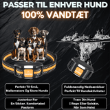 PAWPRO Ultimate Træningshalsbånd